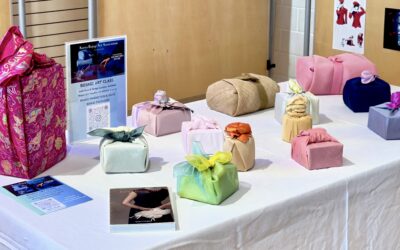 A brief Introduction to Bojagi – by Tomasz Sleziak, PhD